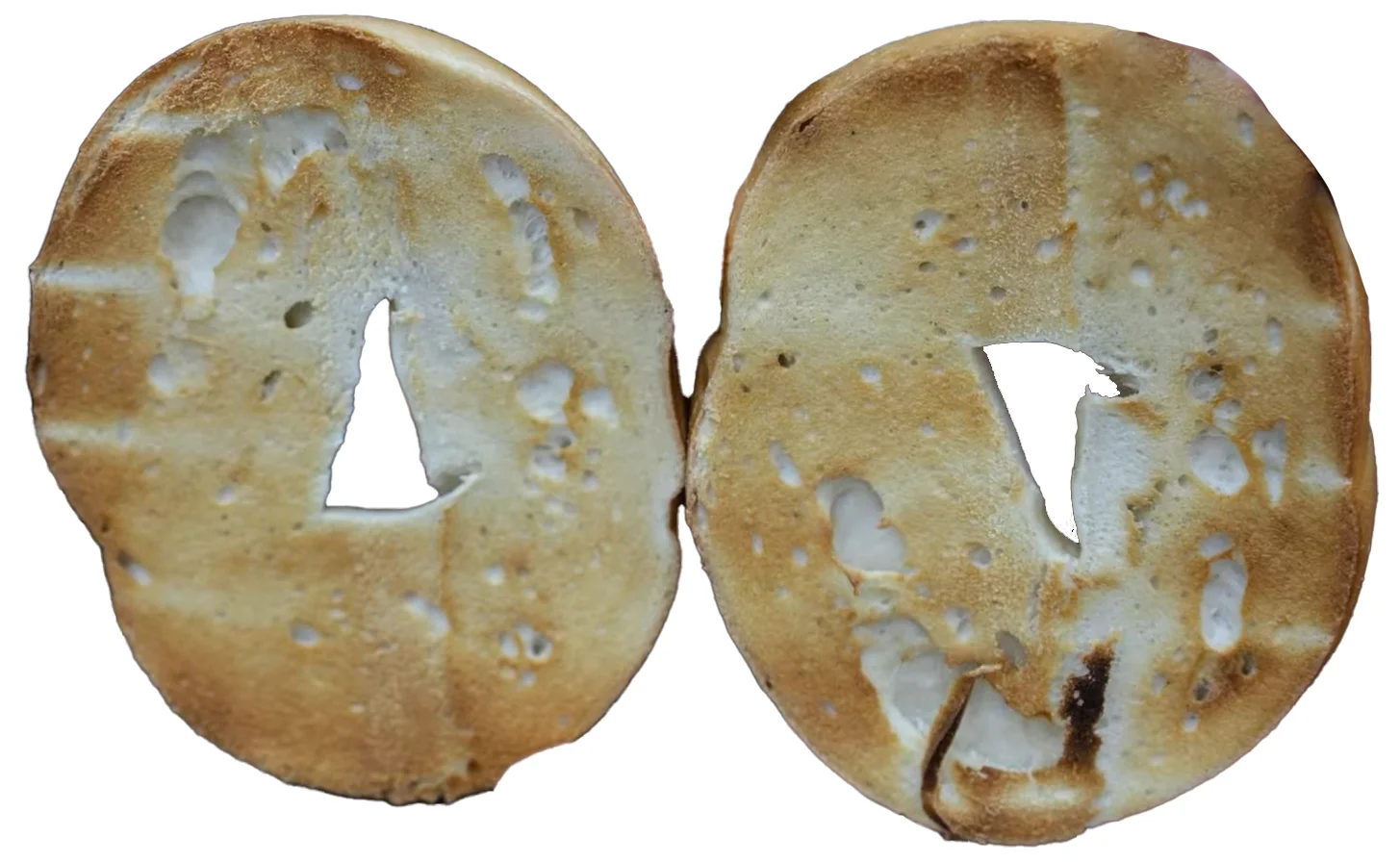 Two bagel halves toasted in the Smeg toaster, with even browning and a chewy interior